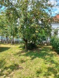 ������ 2 ����������� �������. �������. ���� 10