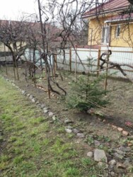 Продається будинок Ужгород, Закарпатська фото 13 Продається будинок Ужгород, Закарпатська фото 13