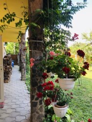 Продаж 10 кімнатного будинку. Ужгород. фото 3 Продаж 10 кімнатного будинку. Ужгород. фото 3