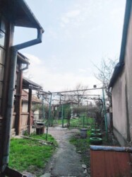 ������ 1 ����������� �������. �������. ���� 5