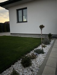 ������ 1 ����������� �������. �������. ���� 3