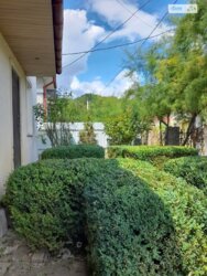 ������ 2 ����������� �������. �������. ���� 6