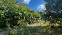 Продаж 2 поверхового будинку. Ужгород. фото 9 Продаж 2 поверхового будинку. Ужгород. фото 9