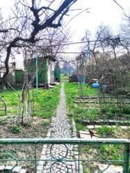 ������ 1 ����������� �������. �������. ���� 6