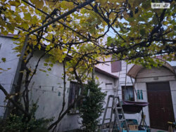 ������ 2 ��������� �������. �������. ���� 3