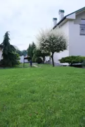 Продаж 2 поверхового будинку. Ужгород. фото 16 Продаж 2 поверхового будинку. Ужгород. фото 16