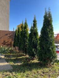 Продаж 2 поверхового будинку. Ужгород. фото 10 Продаж 2 поверхового будинку. Ужгород. фото 10