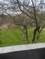 Продаж 1 поверхового будинку. Ужгород. фото 4 Продаж 1 поверхового будинку. Ужгород. фото 4