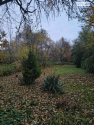 ������ 2 ��������� �������. �������. ���� 5