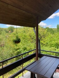 ������ 2 ����������� �������. �������. ���� 4