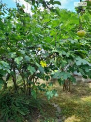 ������ 2 ����������� �������. �������. ���� 8