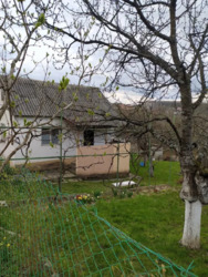 Продаж 1 поверхового будинку. Ужгород. фото 1 Продаж 1 поверхового будинку. Ужгород. фото 1