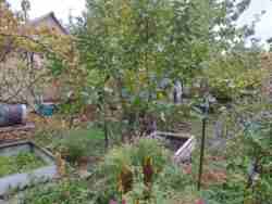 Продам будинок. Комунарський район фото 22 Продам будинок. Комунарський район фото 22