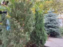 Продам будинок. Комунарський район фото 15 Продам будинок. Комунарський район фото 15