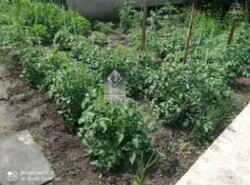 🏡 ÏÐÎÄÀÞÒÑß ÄÂÀ ÄÎÌÀ ÏÎ ÖÅÍÅ ÎÄÍÎÃÎ! ÂÛÃÎÄÍÎÅ ÏÐÅÄËÎÆÅÍÈÅ! ôîòî 11 🏡 ÏÐÎÄÀÞÒÑß ÄÂÀ ÄÎÌÀ ÏÎ ÖÅÍÅ ÎÄÍÎÃÎ! ÂÛÃÎÄÍÎÅ ÏÐÅÄËÎÆÅÍÈÅ! ôîòî 11