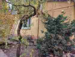 Продам будинок. Комунарський район фото 23 Продам будинок. Комунарський район фото 23