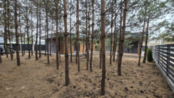 ��������� ������� ³��-�������, ����-�������������, ������� ���� 15