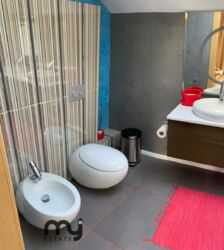 ��������� ������� ������������, ���, ���������� ���� 11