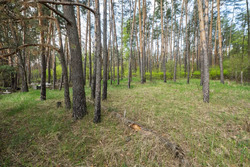 Продається будинок Стоянка, Києво-Святошинський, Київська фото 15 Продається будинок Стоянка, Києво-Святошинський, Київська фото 15