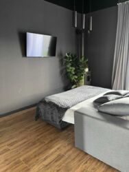 ��������� ������� �����������, ���������, �����, ������� ���� 4