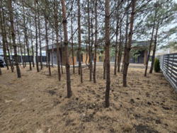 ��������� ������� ³��-�������, ����-�������������, ������� ���� 12