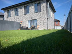 ��������� ������� �����������, ���������, �����, ������� ���� 18