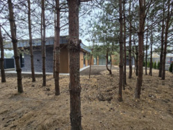 ��������� ������� ³��-�������, ����-�������������, ������� ���� 2