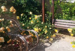 Червоній хутор , Капитальній дом фото 2 Червоній хутор , Капитальній дом фото 2