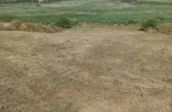 Будинок з великою ділянкою до річки фото 4 Будинок з великою ділянкою до річки фото 4