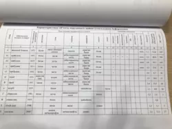 ������ ������� ����� �������� ���� 8