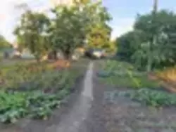 �������� ������ ���� ���������� ���� 13