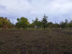 ������ ���� ��� ���� 5