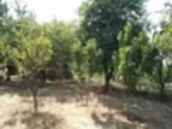 ������ ������� ������������� ���� 5