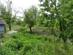 �������� ���� ���������� ���� 3