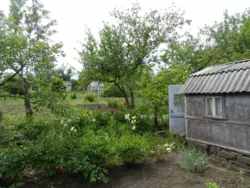 �������� ���� ���������� ���� 4