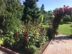 ������ �������� ������� � ����� ���� ���� 3