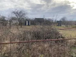 ĳ� ���� ��� ���� 7