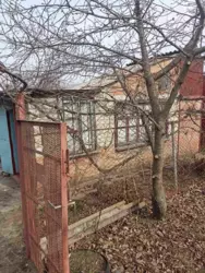 ������ ���� ������ ���� 1