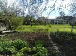 ������ �������� ��. ������� ���� 15