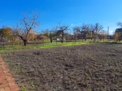 ������ ���� ��� ���� 4