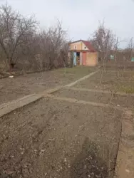 ������ ���� ������ ���� 7