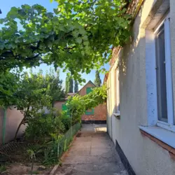 ��������� ������� �������������, ʳ������������ ���� 19