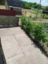 ������ ���� � ���������� ����������� ���� 10