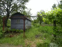 �������� ���� ���������� ���� 6