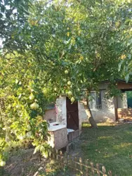 Будинок з великою ділянкою до річки фото 1 Будинок з великою ділянкою до річки фото 1