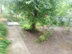 ������ �������� ��. ������� ���� 6