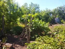 ���� ��� ���������� �� ��� ���� 7