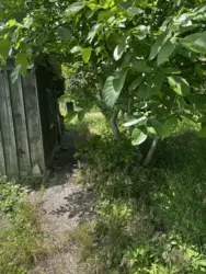 ������ ���� �� ϳ�������� ���� 4