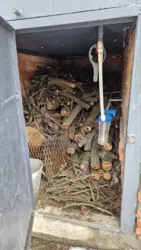 ������ ���� ��� ���� 10