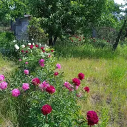 �������� ���� ���������� ���� 2